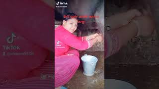 Milking || Hamro Kisan || हाम्रो किसान