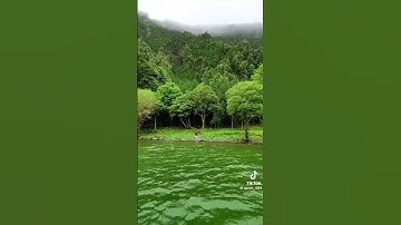 يا أيها الذين ءامنوا اتقوا. تلاوة للقارئ عصام حمود