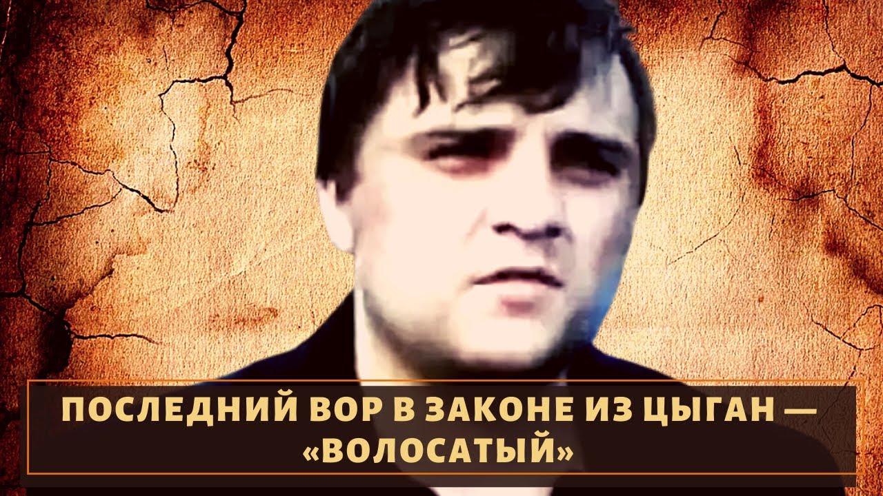 хозяин кемерово. пр молодежный 7 кемерово. хозяин кемерово. терешковой, 56 кемерово. хозяин кемерово.