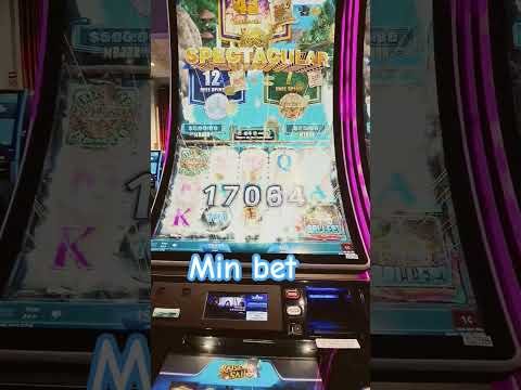 Lucky Error
#xposed #roobet #clips #stake
#blackjack #crazytime #casino