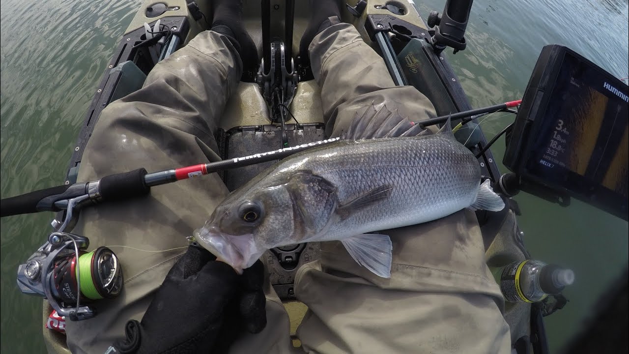 Spigole in Kayak - Foce del Tevere