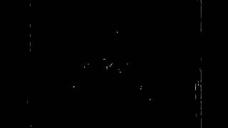 C. elegans in Free Motion