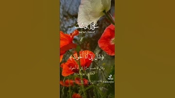 تلاوة بصوت جميل #قرآن #رمضان #flowers #السعودية #رمضان_كريم
