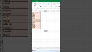 Excel capital letter to small letter