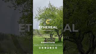 Ambient Meditation Music for Peaceful Videos #ambientmusic  #meditationmusic  #royaltyfreemusic