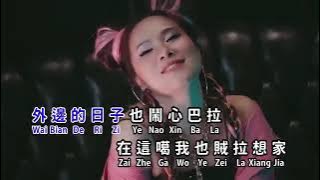 Xiong Di Xiang Ni Le 兄弟想你了  huang jia jia KARAOKE REMIX