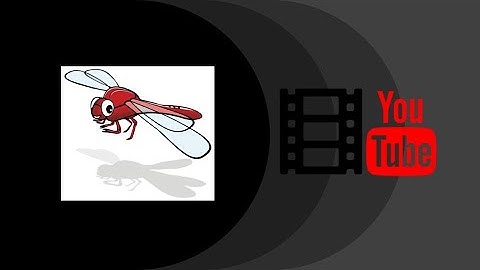 Google Forms   Informed Consent new