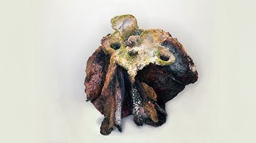 DENATURED BONES stop motion animation