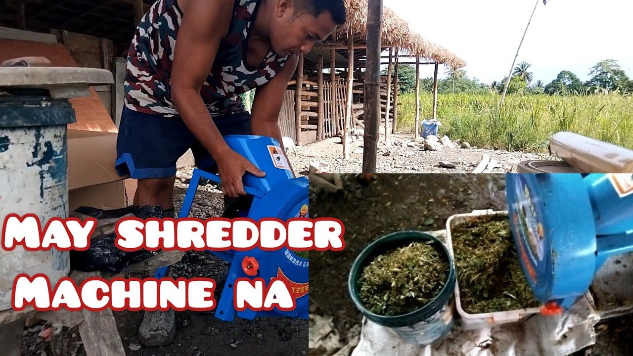 MAY SHREDDER MACHINE NA PARA SA ORGANIC NA PAGKAIN NG ATING ALAGA - YouTube