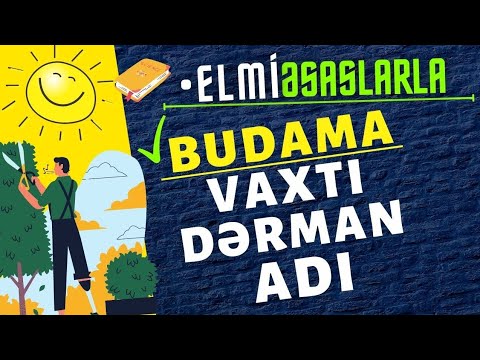 Video: İkiotaqlı bitkilərdə aşağıdakılardan hansının qarşısını almaq olar?