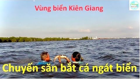 1061 | Săn bắt cá ngát nướng ăn tại biển | Fishing