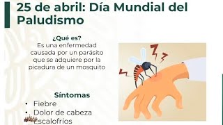 Día Mundial del Paludismo 25 abril 2021.  Dra.  Santa Ceballos.