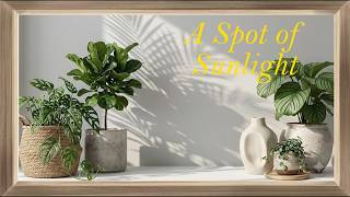 Abstract White Space TV Art | Luxury Screensaver for Smart TVs | Modern Wall Art I No Music screenshot 4