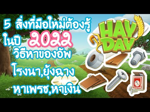 [ HayDay ] 5 สิ่งที่มือใหม่ต้องรู้2022!!วิธีหาเงินไวๆ วิธีหาเพรชฟรีๆ วิธีหาของอัพ วิธีอัพเลเวลให้ไว