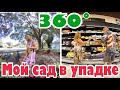 В саду все сломано и разбито, магазин Алди . .