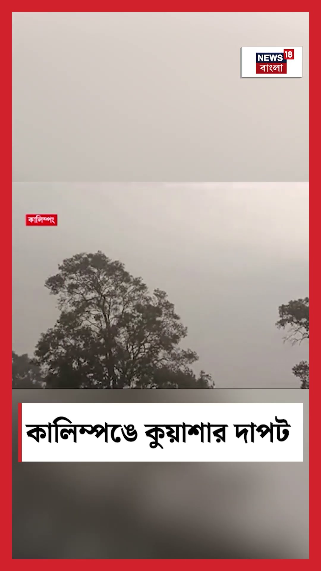 Kalimpong এ কুয়াশার দাপট #shorts