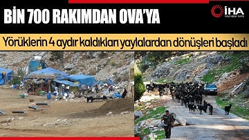 Yörüklerin 4 Aydır Kaldıkları Yaylalardan Dönüşleri Başladı