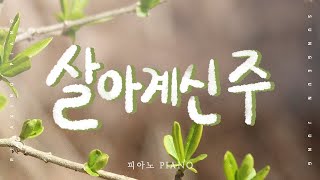 살아계신 주/피아노 PIANO/Because He Lives