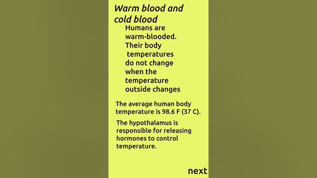 Humans are warm blooded YouTube