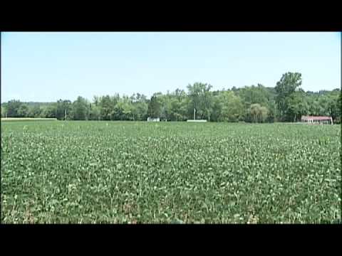 Video: ¿En qué condado se encuentra Stonefort Illinois?
