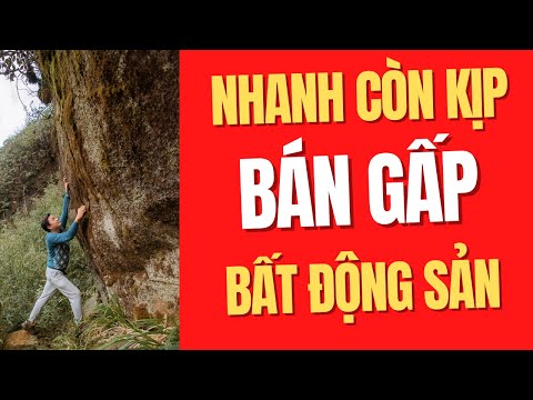 Bán hết bất động sản của bạn đi nhanh còn kịp I Phạm Văn Nam