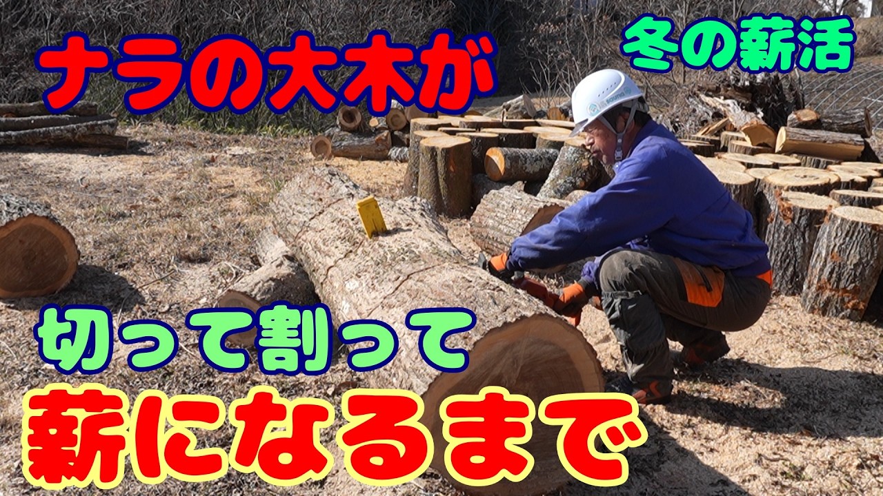 【再値下】【玉切薪☆大変お得☆重い硬い広葉樹☆約300kg以上】 ★0327 ごめさん | これで40トン分は玉切り終わったので、そろそろ割り始め