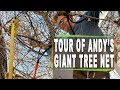 HUGE tree nets with Andy Lewis - Modern day tree forts