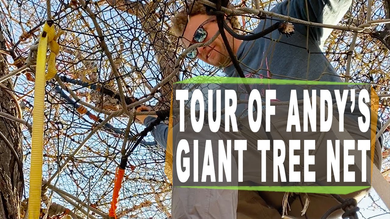 HUGE tree nets with Andy Lewis - Modern day tree forts 