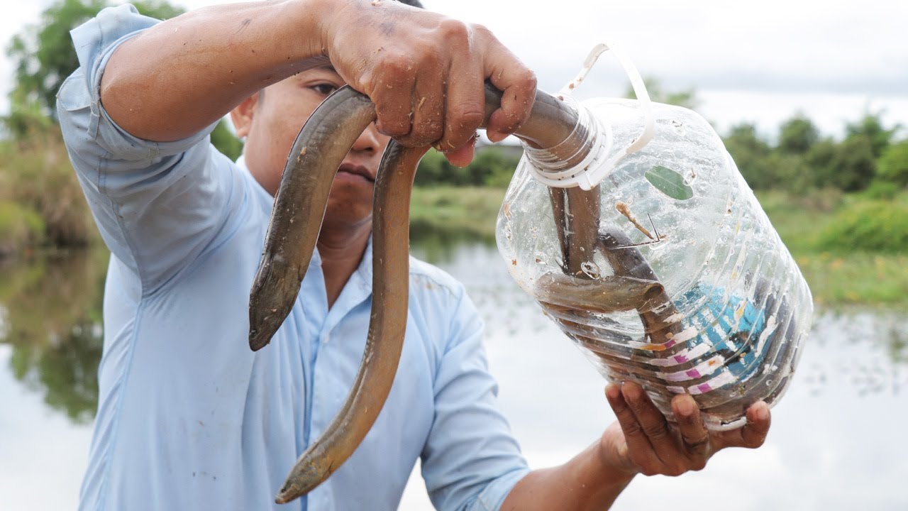 We Survival - How To Make Eel Trap From Plastic Bottle 