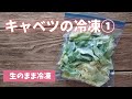 【キャベツの冷凍保存】生のまま冷凍ができる便利な野菜です(^^♪