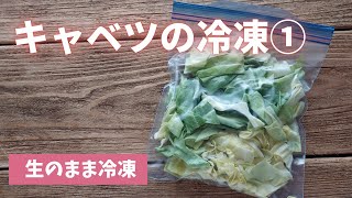 【キャベツの冷凍保存】生のまま冷凍ができる便利な野菜です(^^♪