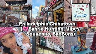 Philadelphia Chinatown Walkthrough! ♡ Sanrio Hunting, Ebisu Life Store, Asian Food & Kawaii Finds!