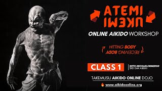 🔻 FREE 𝗔𝗶𝗸𝗶𝗱𝗼 𝗢𝗻𝗹𝗶𝗻𝗲 𝗪𝗼𝗿𝗸𝘀𝗵𝗼𝗽  🔥 ATEMI-UKEMI: 'Hitting Body / Receiving Body' - CLASS 1