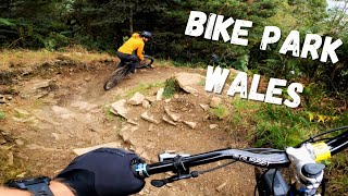 Are these the BEST trails in Bike Park Wales?