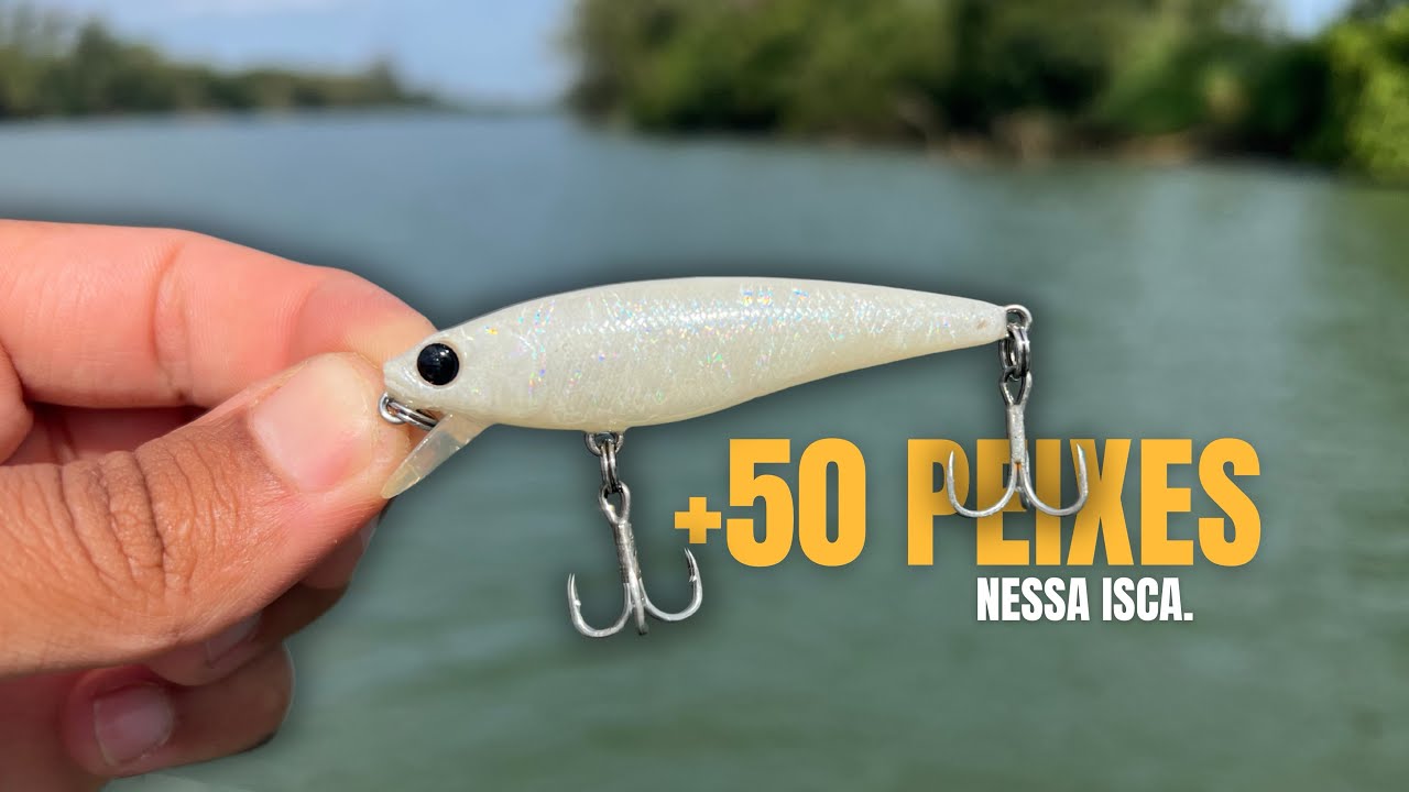 A MELHOR ISCA PARA ROBALOS! | Pegamos mais de 50 nessa pescaria. - YouTube