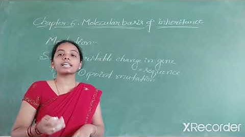 II PU REGULAR TOPIC: MOLECULAR BASIS OF INHERITANCE PART-8