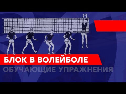 Видео: Блок в волейболе. Обучающие упражнения.