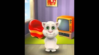 [My Talking Tom] Cat😿💘😻 screenshot 2