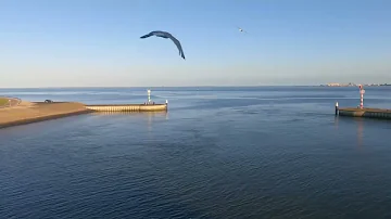 Textel  VVV  Ferry  Teso  Den  Helder  Nederland   to  Den Hoorn  Textel   Island   National  Park U