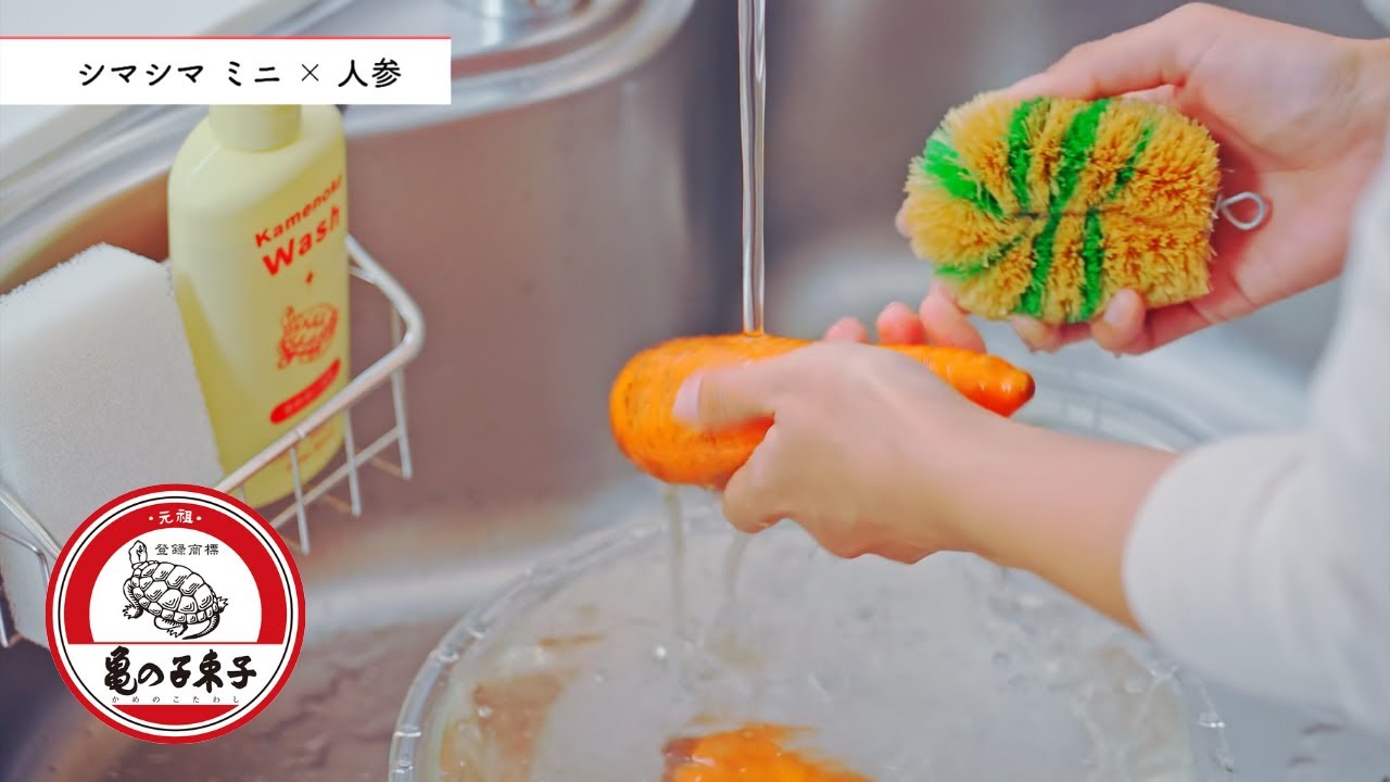 シマシマ ミニ | パーム（ココナッツ繊維）たわし - 亀の子束子公式