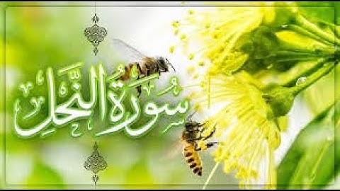 من ليالي #رمضان ١٤٤٥ سورة #النحل كاملة بصوت القارئ #عبدالله_عطية #قرآن #إسلام #عبادة #تلاوت_قرآن