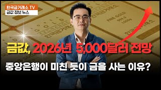 [금값,금시세]금값, 2026년 5,000달러 전망