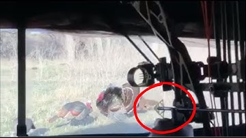 Turkey vs. 650 grain GrizzlyStik System