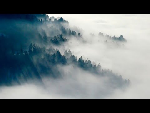 Video: ¿En qué se diferencia la niebla de radiación de la niebla de advección?