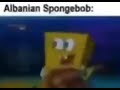 Albanian Spongebob