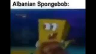 Albanian Spongebob