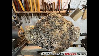 Colossal Cherry Burl Transformation