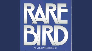 Video thumbnail of "Rare Bird - What You Want To Know"