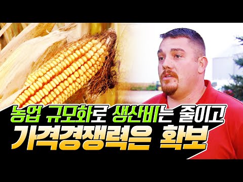 규모화를 통해 생산비를 줄이고 가격 경쟁력을 확보한다! 미국 옥수수 산업! #미국 #옥수수산업 #힘내라한국농업 [2008]