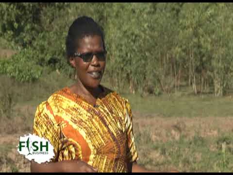 She has 12 years in Fish farming business - part 1